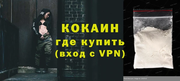 винт Абаза