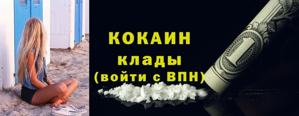 винт Абаза