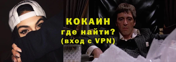 винт Абаза
