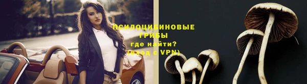 гидропоника Абинск