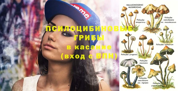 гидропоника Абинск