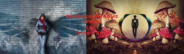 гидропоника Абинск