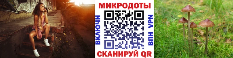 Псилоцибиновые грибы прущие грибы  Хабаровск 