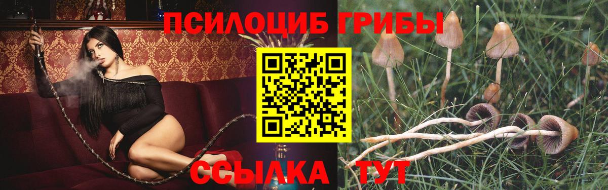 Псилоцибиновые грибы Cubensis  Вход с VPN  Хабаровск 