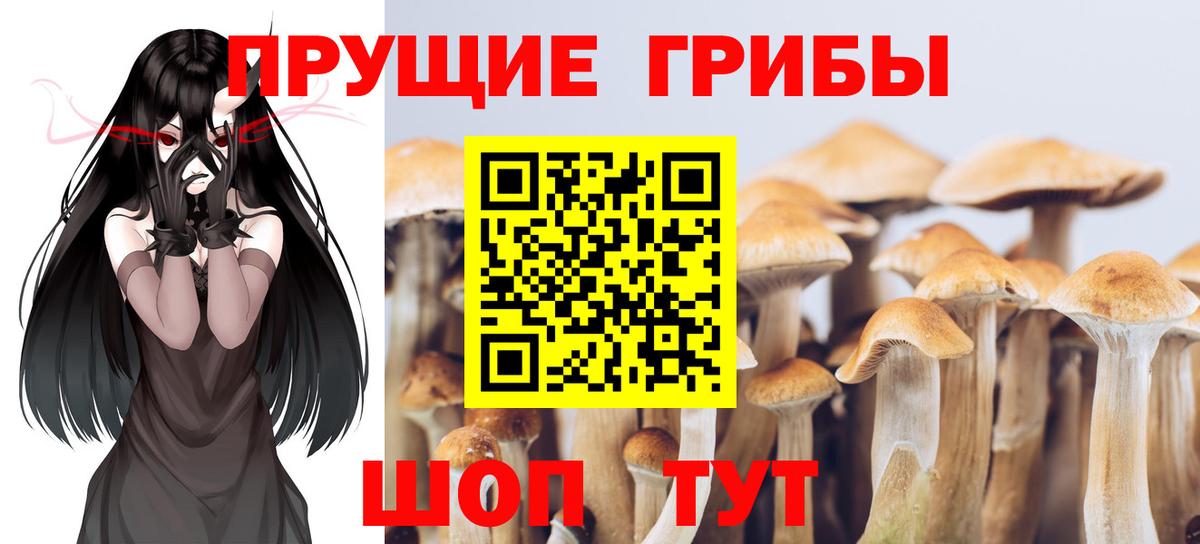Галлюциногенные грибы мицелий Хабаровск