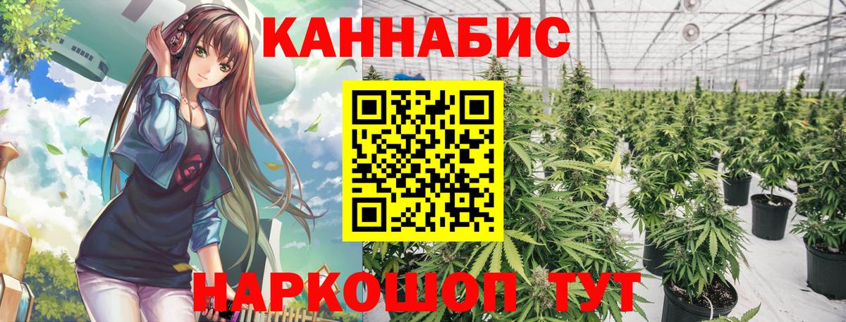 Марихуана OG Kush  Вход с VPN  Хабаровск  Канабис OG Kush  Бошки марихуана план  Канабис планчик 